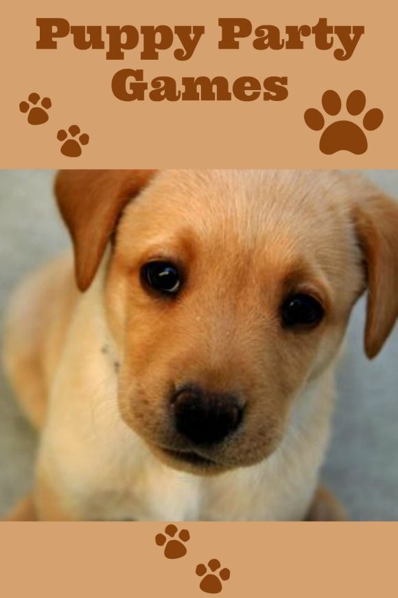 puppy-party-games-for-kids-my-kids-guide